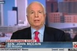 mccain-wolf-harming