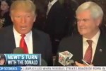 newt-trump-apprenti