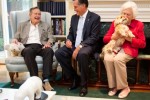 romney bush