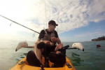 dogkayak