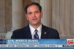 rubio vp