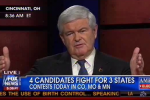 gingrich fox and friends