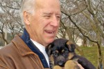 Report: Almost 1/3rd Of South Carolinians Have No Idea Who Vice President Joe Biden Is joe-biden-puppy