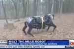 robot-mule
