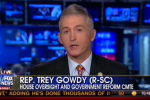 trey gowdy