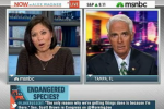 charlie crist