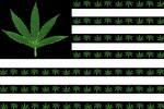 Marijuana Nation