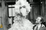 sesame street songs of war