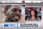Seau MSNBC