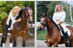 anns-horse