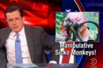 colbert-sick-monkey