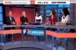 msnbc panel