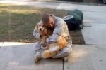 soldier-dog