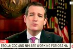 Sen. Cruz: Doctors Opposing Travel Ban ‘Working for Obama’ cruz
