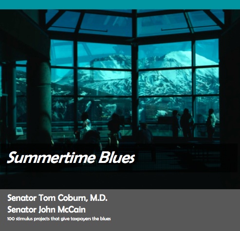 Summertime Blues | McCain - Coburn | Wasted Stimulus Money