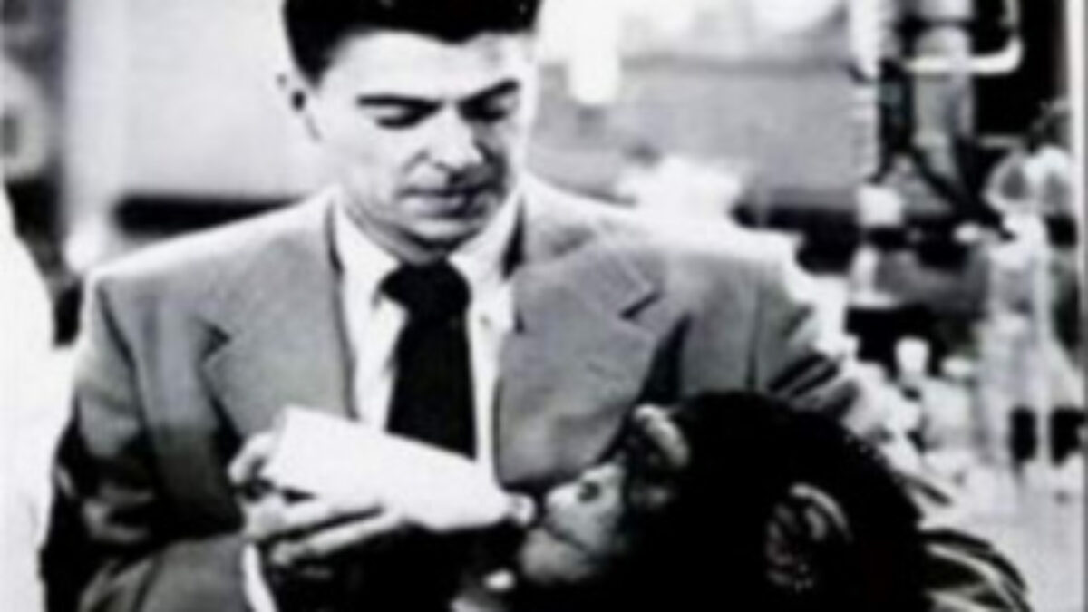 GOP County Chair Says Racist Anti-Obama Facebook Meme Is a Joke, image size:1200x675