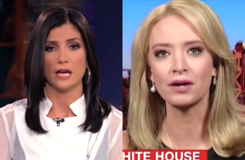 dana loesch plastic surgery Image 5