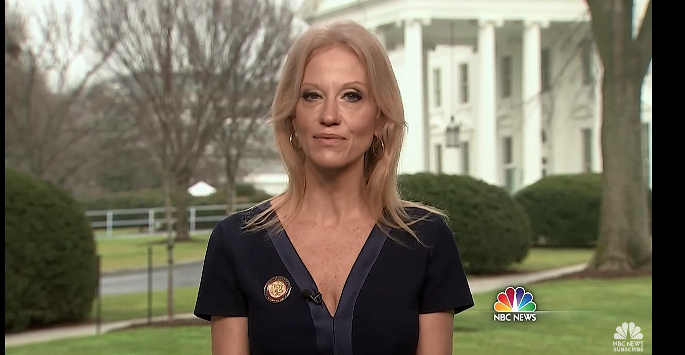 Kellyanne Conway Allegedly Caught Leaking Secrets, Mocking Trump Staffers