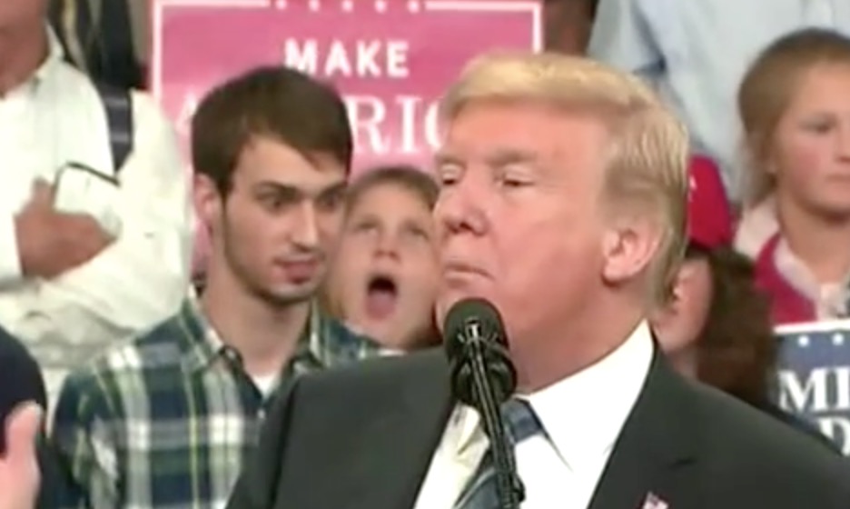 Plaid Shirt Guy Removed from Trump Rally Video