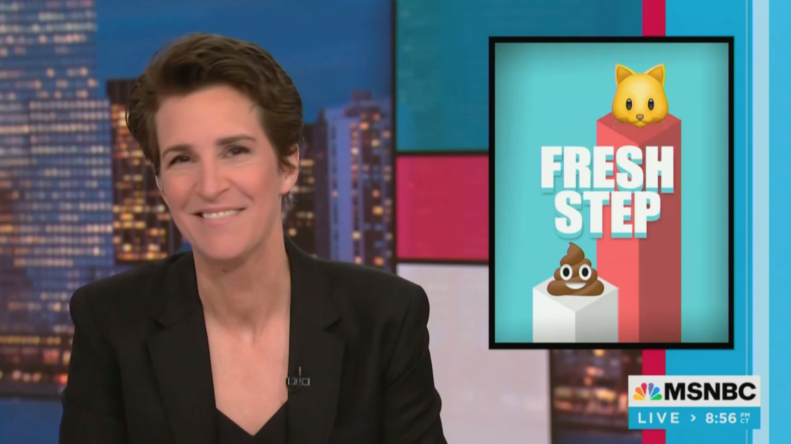 Rachel Maddow Laughs At Trump Citing Catturd Twitter Poll