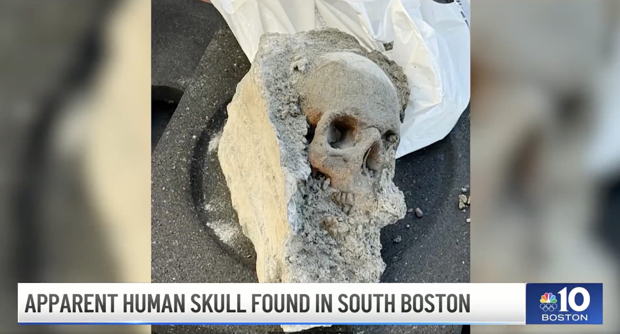 WHITEY BOULDER: Workers Fixing Boston Pier Uncover Skull Encased in Concrete in Possible Mob Hit'