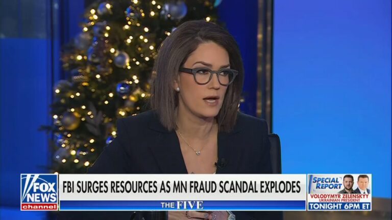 Fox’s Jessica Tarlov Says There’s ‘No Way’ a YouTuber Uncovered More Than $100 Million of Fraud in Minnesota ‘On His Own’