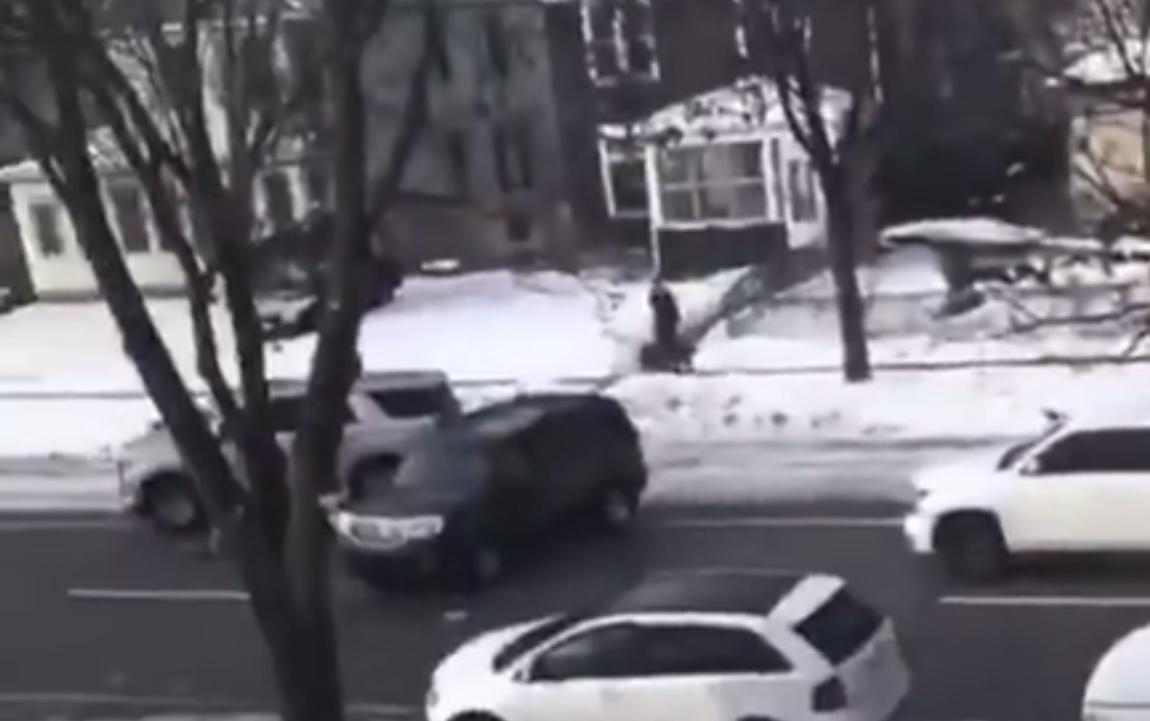 DHS Posts 3-Minute Clip of Renee Good Blocking Traffic in Effort to Refute Mayor Frey's Claim She Was Definitively Trying' to Leave