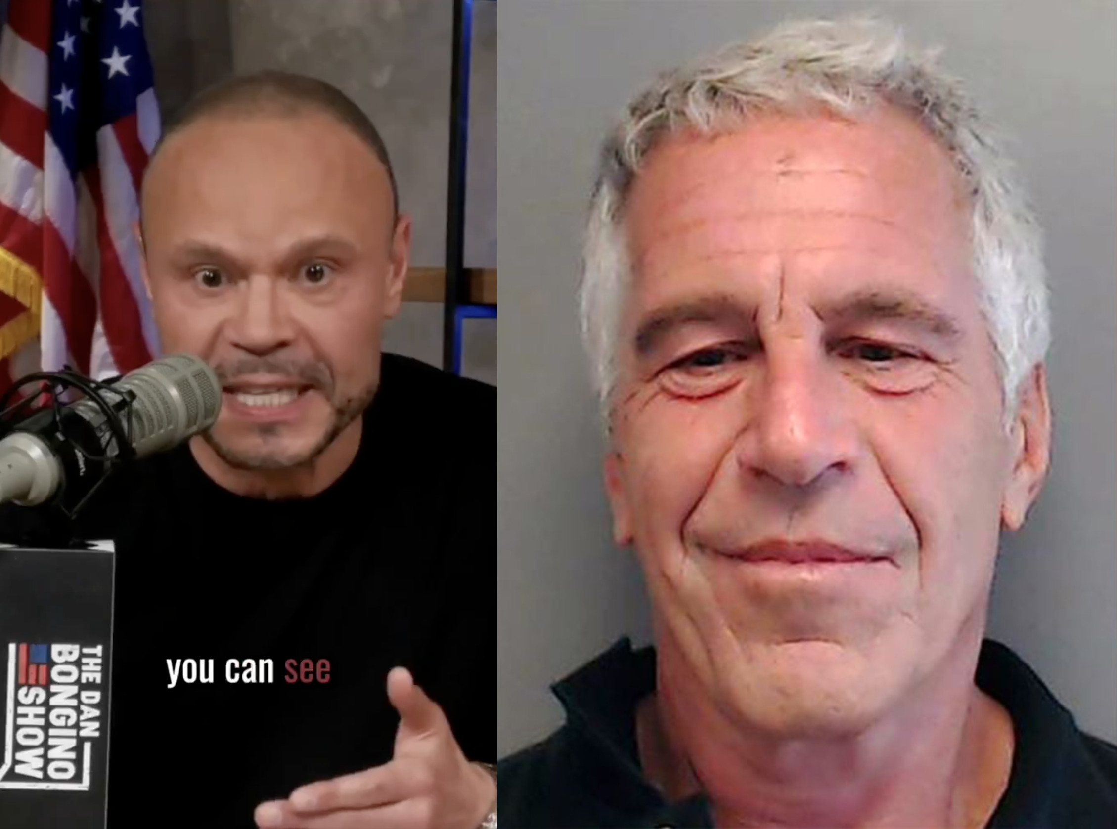 Dan Bongino Ripped for Posturing as an Epstein Files Crusader in Podcast Rant: He Signed Off on CLOSING the F*cking INVESTIGATION'