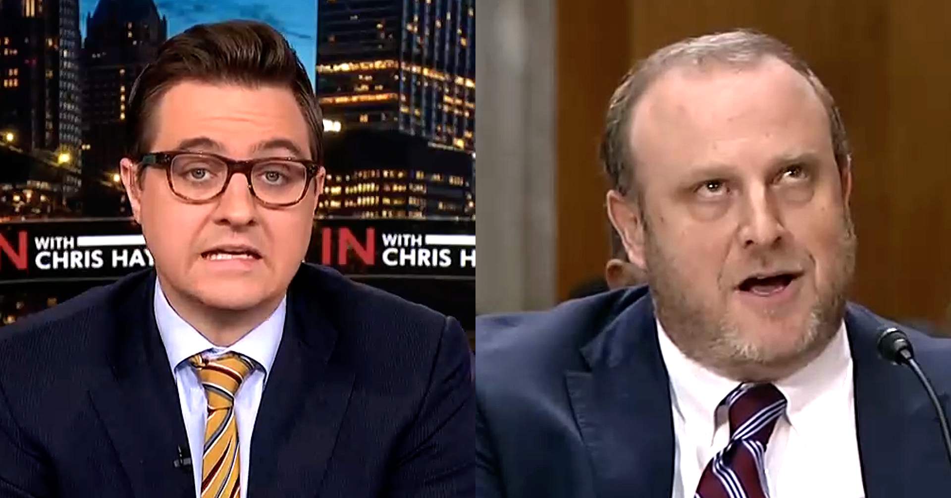 Chris Hayes Rips Trump Pick Jeremy Carl on 'White Identity'