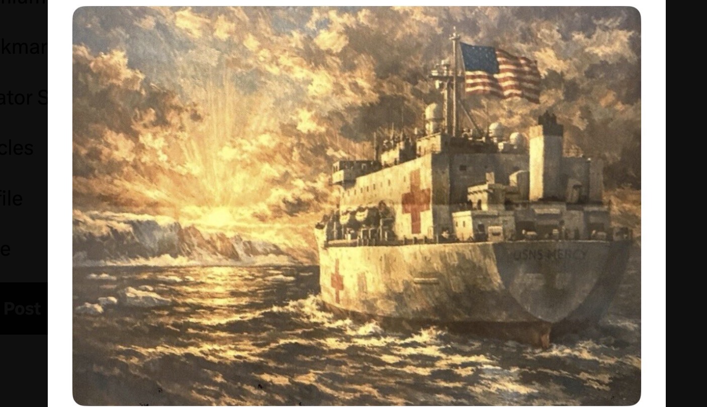 Trump Posts Picture of US Hospital Boat' He's Sending To Greenland For Those Who Are Not Being Taken Care of There'