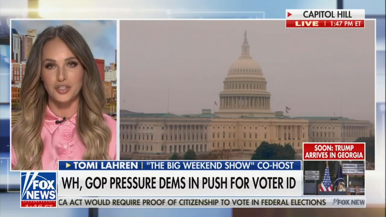 Fox's Tomi Lahren Demands Trump Turn Up the Heat on the Republicans' Over Voter ID