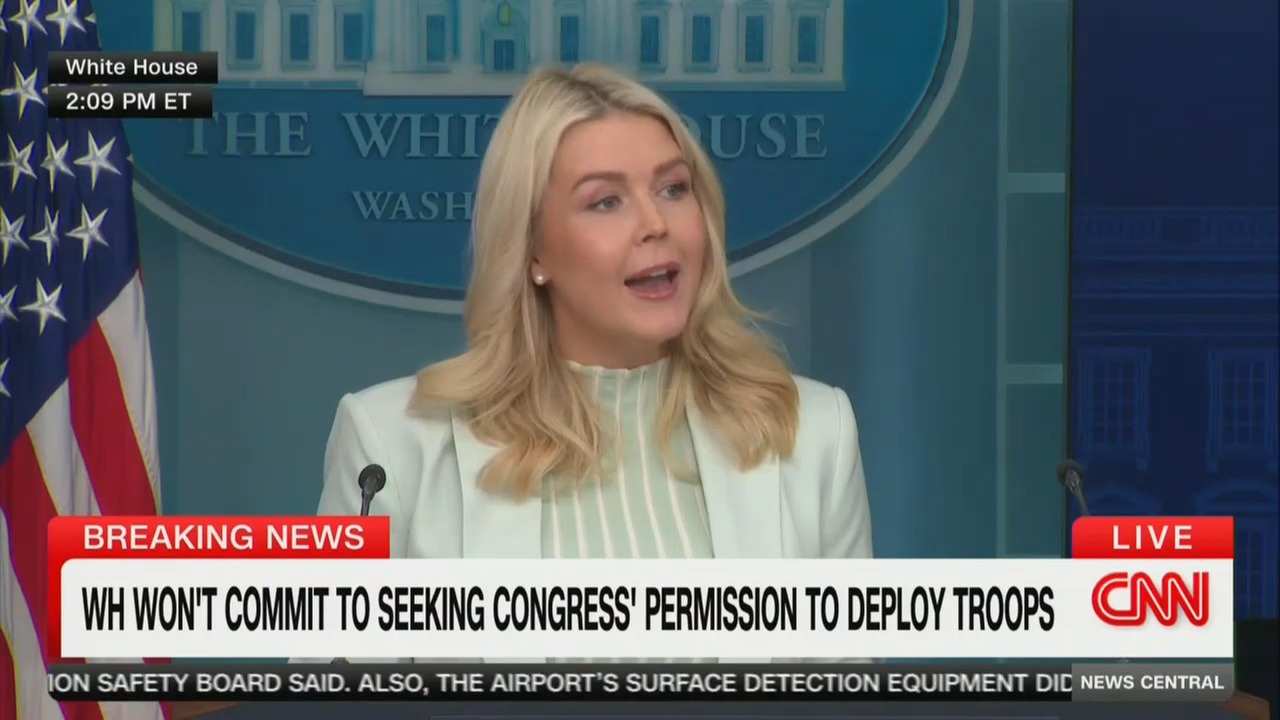 Cheap Political Stunt': Karoline Leavitt GOES OFF on Jamie Raskin and MS NOW Propaganda'