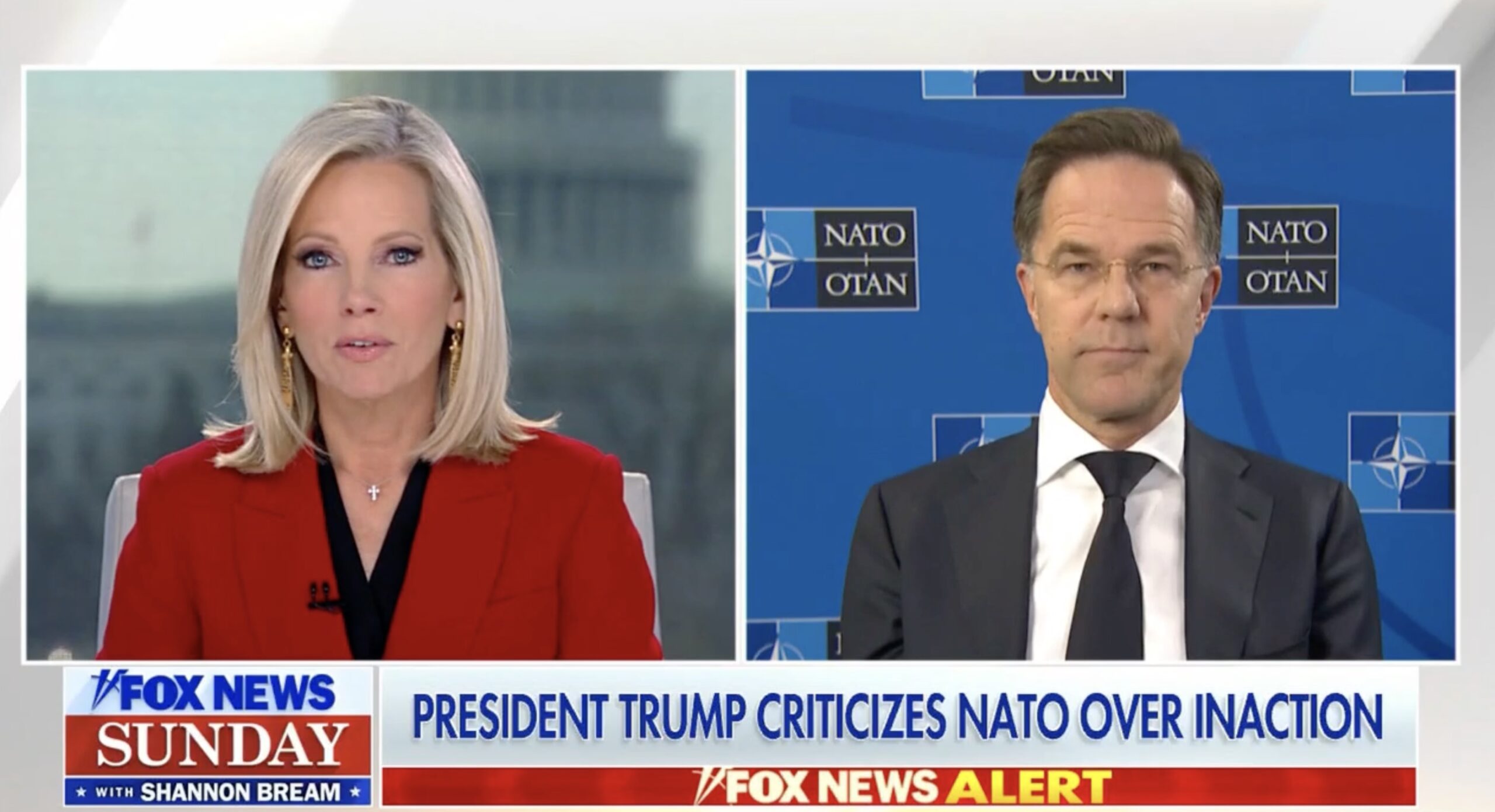 Fox News Anchor Confronts NATO Chief on Trump Calling NATO Cowards'