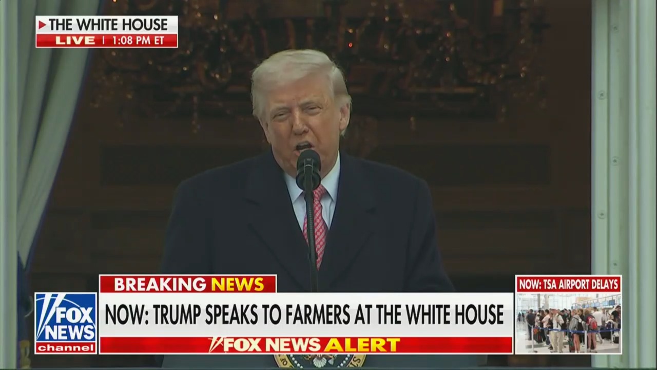 Trump Boasts He's Taking Back Minnesota From Somalia: The Worst Country in the World!'