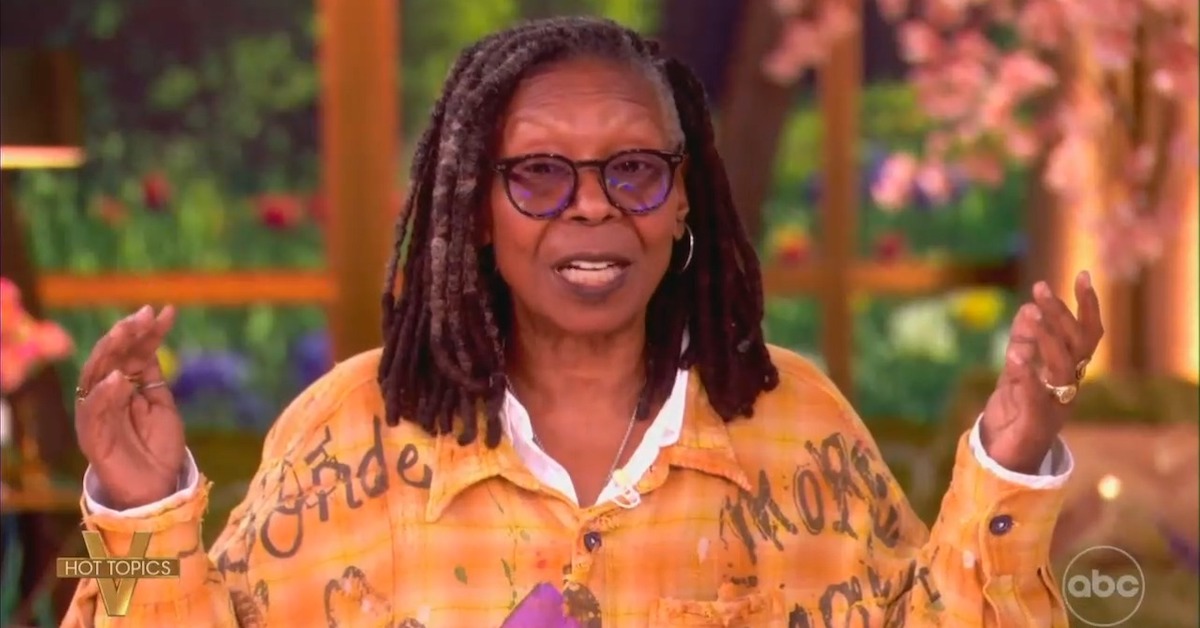 Whoopi Goldberg Schooled On Voter ID Laws By Co-Hosts