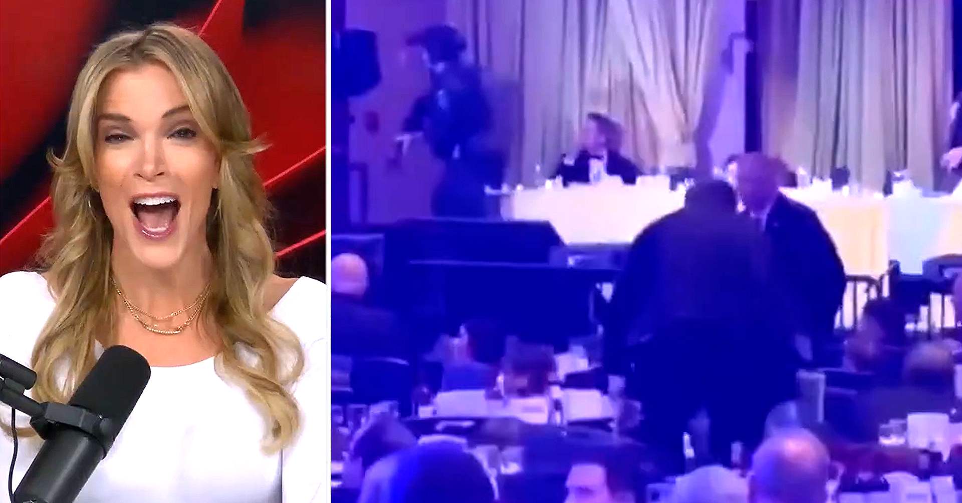 Megyn Kelly Mocks Dramatic' Journos for Traumatized Trump-WHCD Shooting Reax: Like They Just Got Back From Nam!'