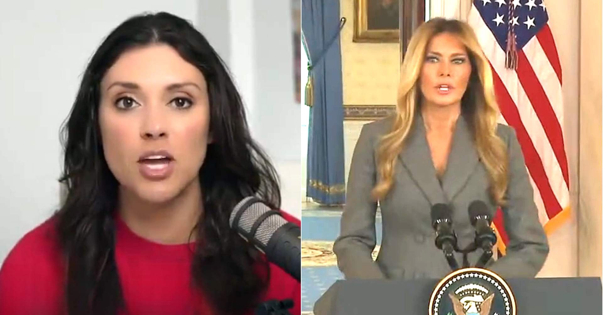 Tara Palmeri Blasts Out Melania-Jeffrey Epstein Connections Minutes After Bombshell Presser