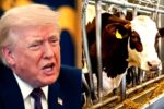 mediaite.com - Tommy Christopher - Trump Lashes Out In Morning Rage Flurry At Media, Dems, And - The Fertilizer Industry