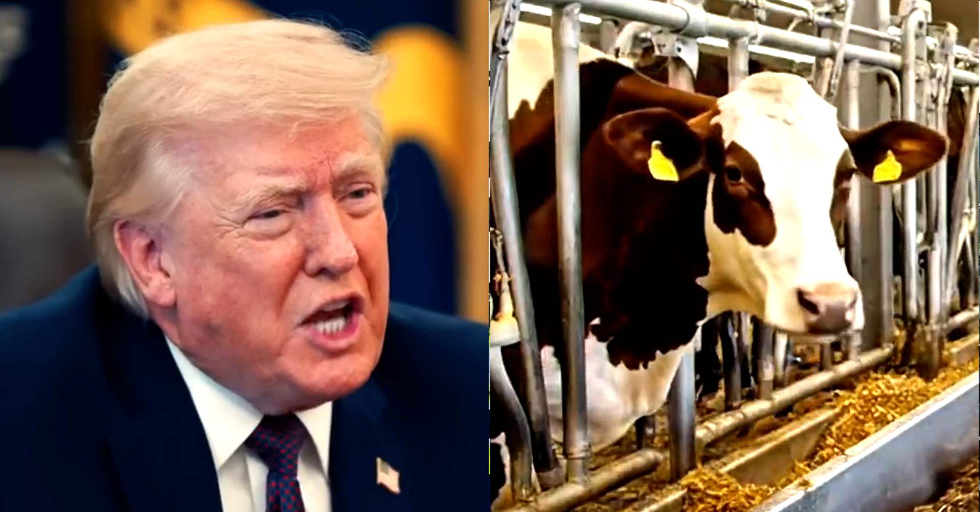 Trump Lashes Out In Morning Rage Flurry At Media, Dems, And — The Fertilizer Industry