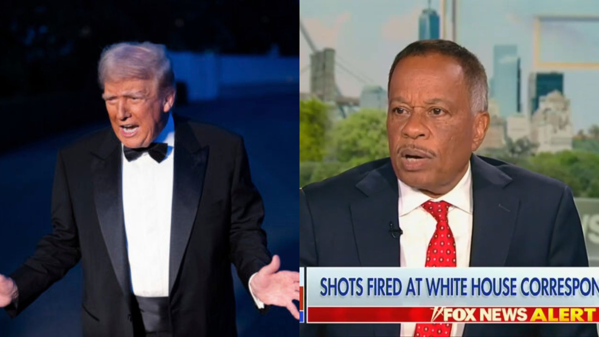 Fox's Juan Williams Offers Reason for Trump Assassination Attempts: He Plays on Division'