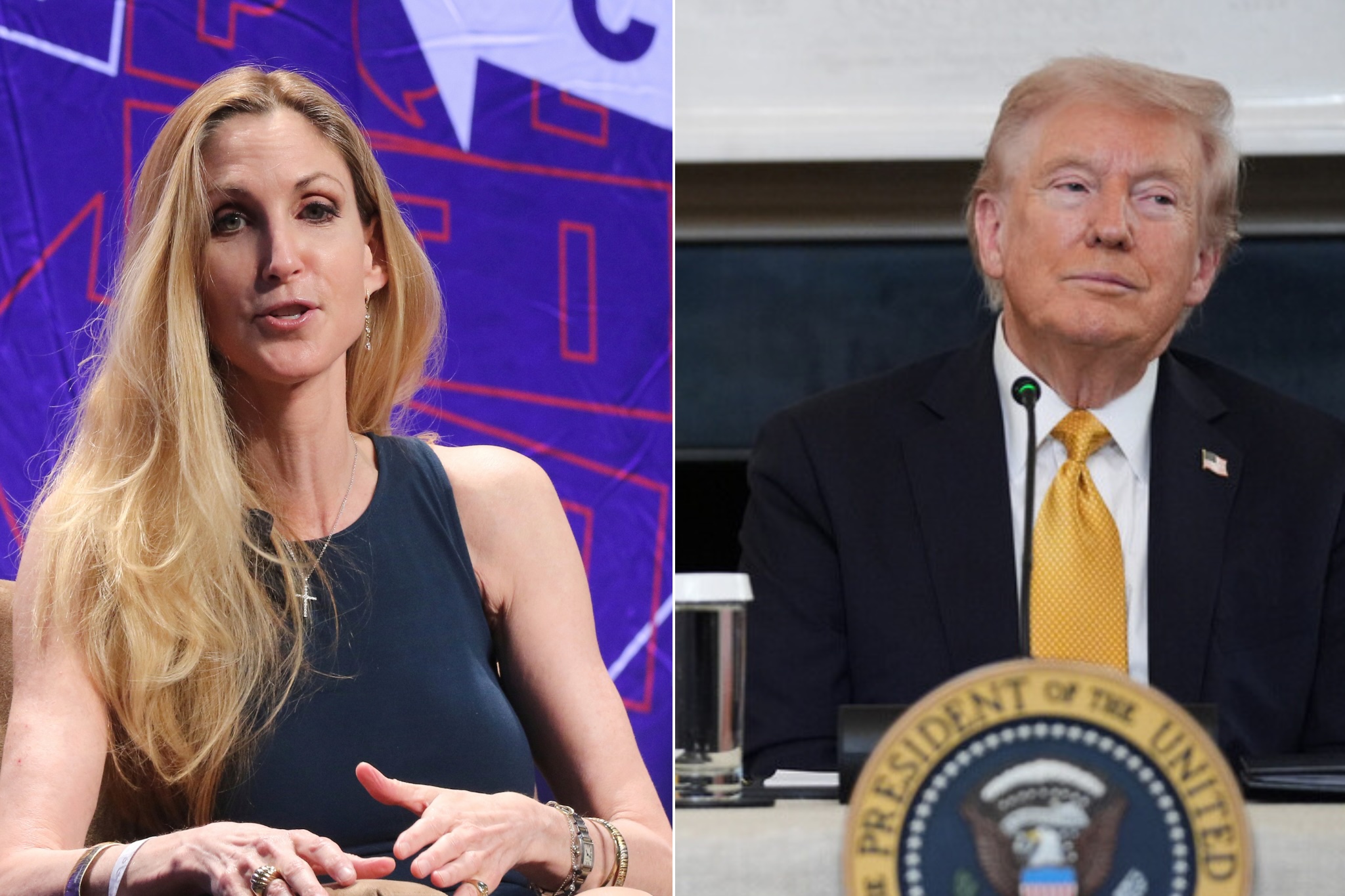 MAGA Booster Ann Coulter Accuses Trump of Committing War Crimes' in Iran