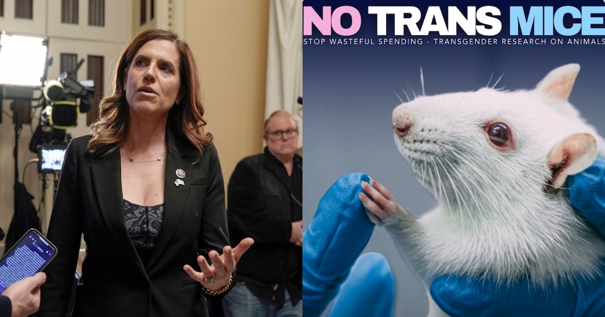 Nancy Mace Roasted Over Weird Declaration About 'TRANS MICE'