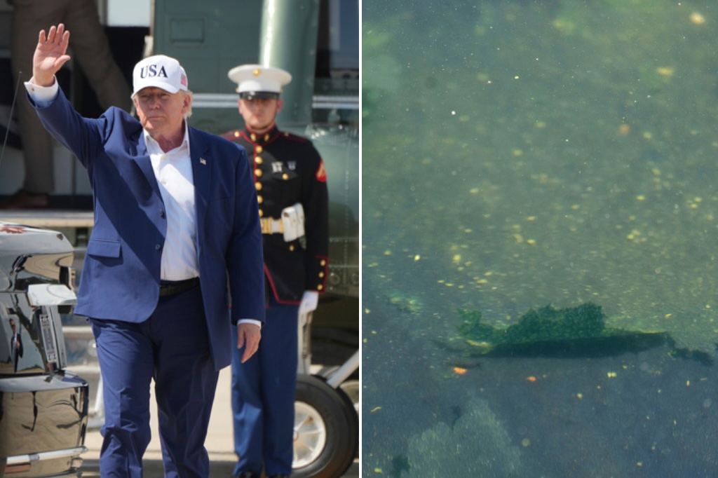 ‘SICK, DERANGED PEOPLE!’ Trump Claims He Personally Inspected ‘Seriously Vandalized’ Reflecting Pool As Algae Continues to Spread